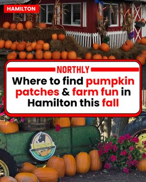 Image post by @northlyhamilton on Instagram