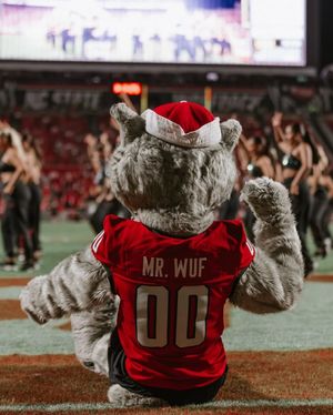 Image post by @ncstatedanceteam on Instagram