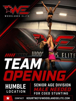 Image post by @woodlandscheer on Instagram