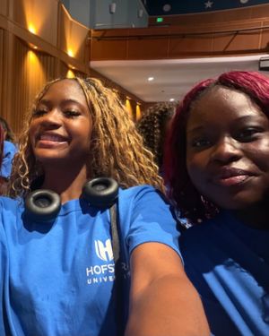 Image post by @hofstrau on Instagram