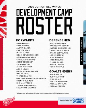 Image post by @detroitredwings on Instagram