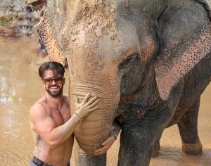 Image post by @johnnybananas on Instagram