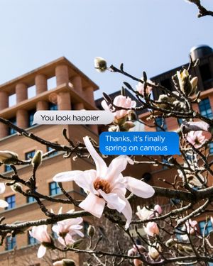 Image post by @uofcincy on Twitter