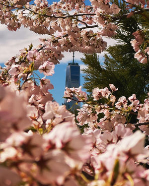 Image post by @explorewtc on Instagram
