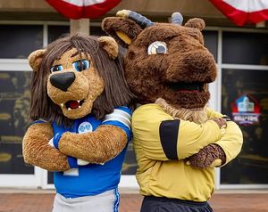 Image post by @roarynfl on Instagram