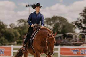 Image post by @smuequestrian on Instagram