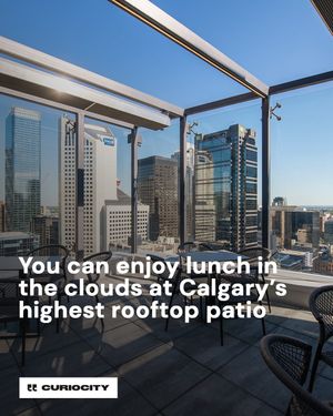 Image post by @curiocitycalgary on Instagram