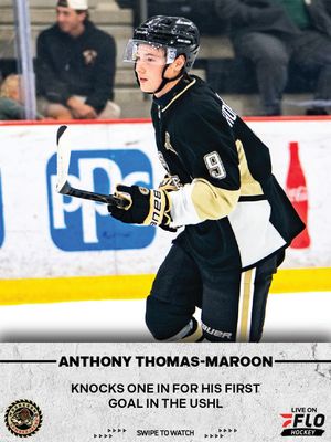 Image post by @flohockey on Instagram