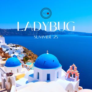 Image post by @ladybugindia_ on Instagram