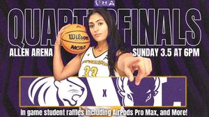 Image post by @lippy.lunatics on Instagram