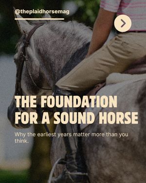 Image post by @theplaidhorsemag on Instagram