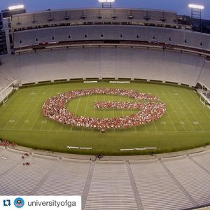Image post by @uga_wbb on Instagram