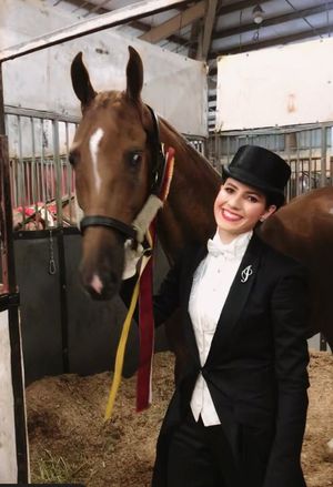 Image post by @UphaAmericanRoyalNationalChampionshipHorseShow on Facebook