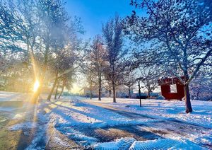 Image post by @universityofutah on Instagram