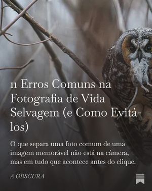 Image post by @renatorochamiranda on Instagram