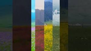 Video post by @dji on YouTube