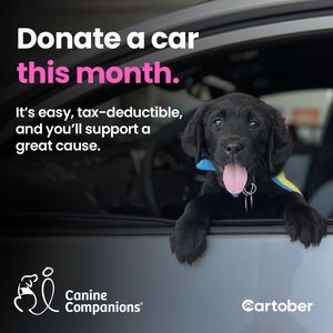Image post by @canineorg on Instagram