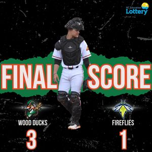 Image post by @GoWoodDucks on Twitter