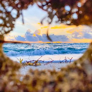 Image post by @angellomiami on Instagram