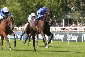 Image post by @godolphin on Instagram