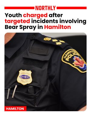 Image post by @northlyhamilton on Instagram