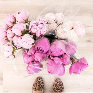 Image post by @allisonmathisjones on Instagram