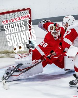 Image post by @detroitredwings on Instagram