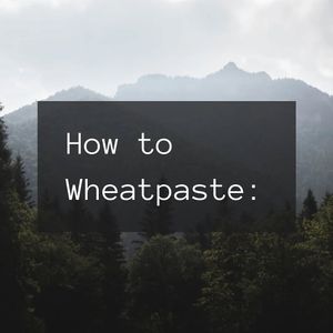 Image post by @green.anarchist on Instagram