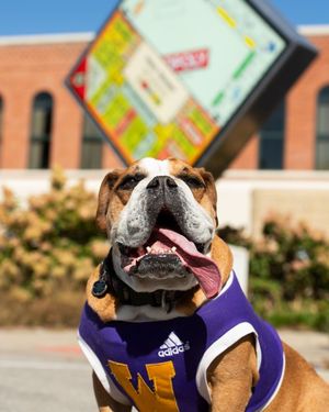 Image post by @westerniluniv on Instagram