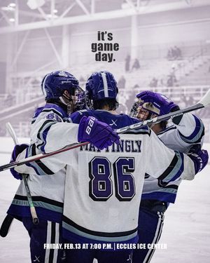 Image post by @wsumenshockey on Instagram