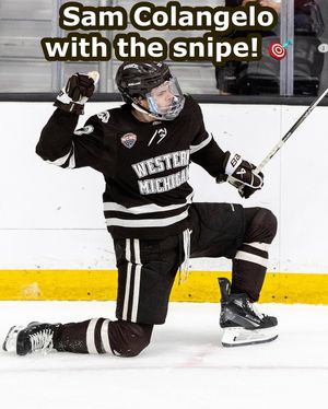 Image post by @everythingcollegehockey on Instagram