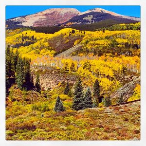 Image post by @skicrestedbutte on Instagram
