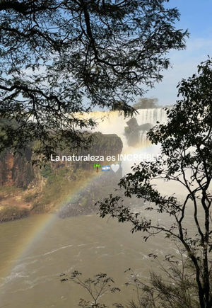 Video post by @carlotagrandeb on TikTok