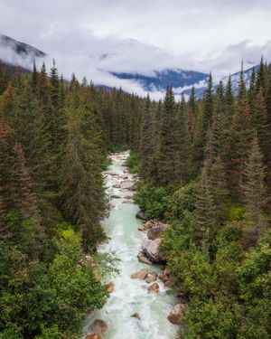 Image post by @chandlerwebercreative on Instagram