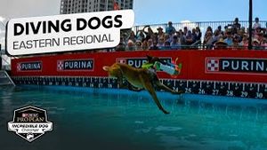 Video post by @nbcsports on YouTube