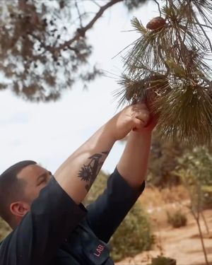 Image post by @fsathens on Instagram