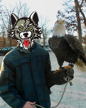 Image post by @chicagowolves on Instagram