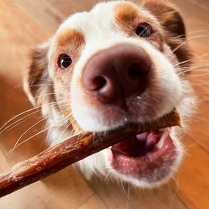 Image post by @honeyimhome on Instagram