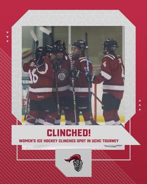 Image post by @arcadia_knights on Instagram