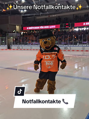 Video post by @grizzlys_wolfsburg on TikTok