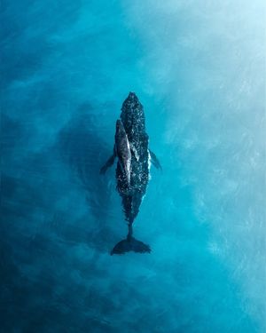 Image post by @droneartgallery on Instagram