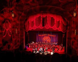 Image post by @thedandywarhols on Instagram