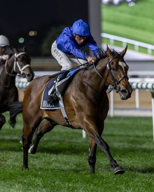 Image post by @godolphin on Instagram