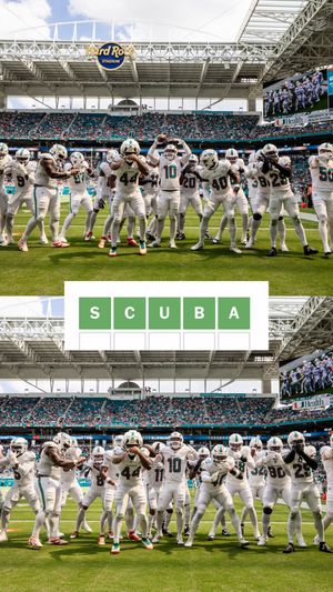 Video post by @miamidolphins on TikTok