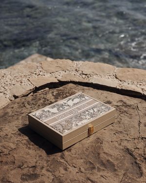 Image post by @diormaison on Instagram