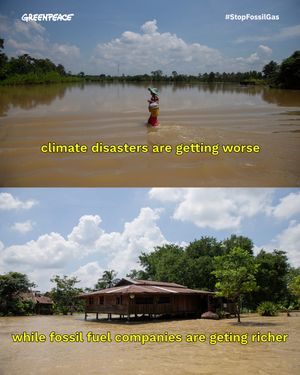 Image post by @greenpeace on Instagram