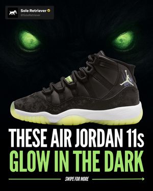 Image post by @soleretriever on Instagram