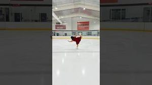 Video post by @lainedubin on YouTube