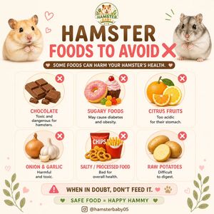 Image post by @hamsterbaby05 on Instagram
