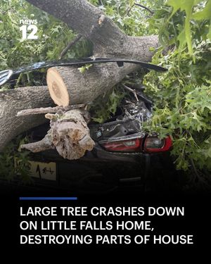 Image post by @news12nj on Instagram